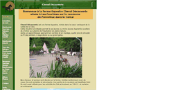 Desktop Screenshot of chevaldecouverte.com